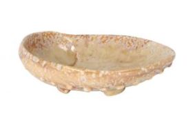 Plato Abalon (Caja 6 unidades)