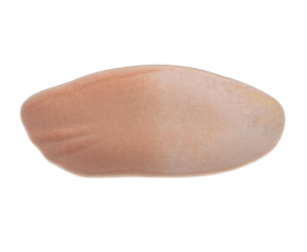 Bandeja Blush Tone 31x13,5 cm (Caja 12 unidades)