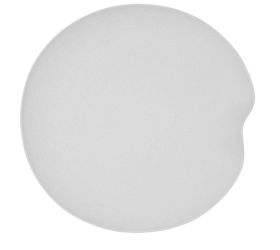 Bandeja de porcelana blanca de colección fosil