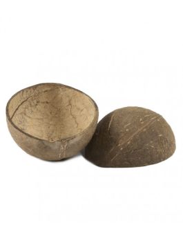 Bowl coco natural (Caja 10 unidades)