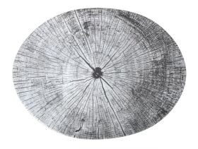 Bandeja Oval Strega Forest 31X24X25cm (Caja 6 unidades)