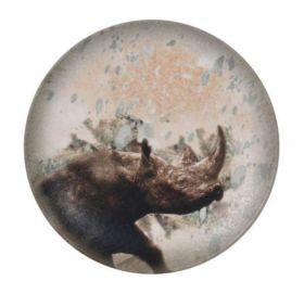 Plato Llano Rinoceronte Savanna (Caja 12 uds.) - 23 cm