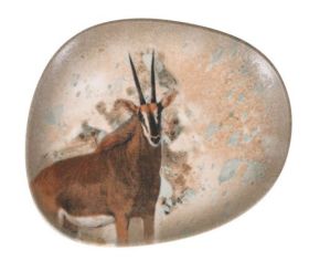 Plato Postre Antílope Savanna  24x19,5 cm (Caja 12 unidades)