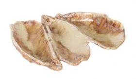 Plato Ostra Triple (Caja 6 unidades)