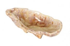 Plato Ostra Momi (Caja 12 unidades)