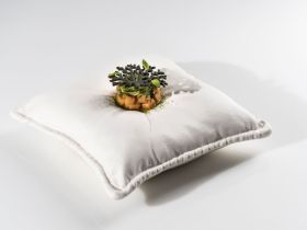 Plato Cojín Pillow (Caja 2 unidades)