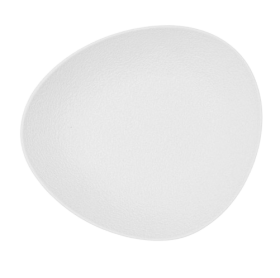 Plato irregular de color blanco perteneciente a la colección fosil