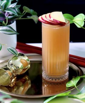 Vaso Elysia 44,5cl  (Caja 12 unidades)